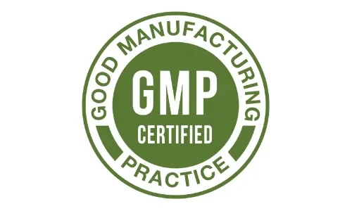 Brain Memory Keeper GMP certified manufacturing